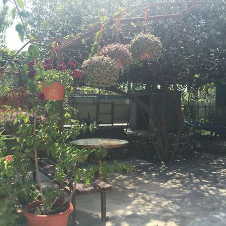 Guesthouse Milena Leselidze Ngoại thất bức ảnh