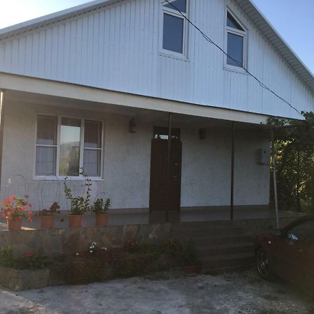 Guesthouse Milena Leselidze Ngoại thất bức ảnh