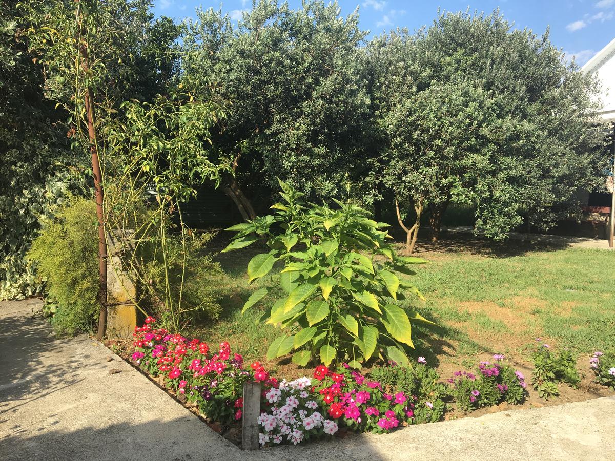 Guesthouse Milena Leselidze Ngoại thất bức ảnh